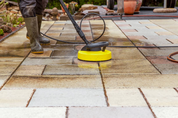 Best House Exterior Washing  in Virginia, IL