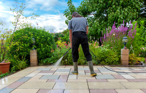 Best Winterizing Services  in Virginia, IL